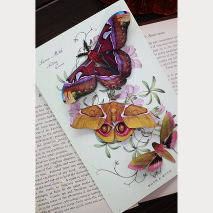 Amber Atlas Moth Set Moth & Myth butterflies, butterfly, butterfy, canada, cottage witch, cottage witch gift, cottagecore, country witch, decorative butterflies, gift, moth, moth and myth, moth set, orange, paper, paper butterflies, print, purple, replica, vintage, witchy gift metaphysical occult supplies witchy hecateslight.com witchcraft cottagecore witch gifts