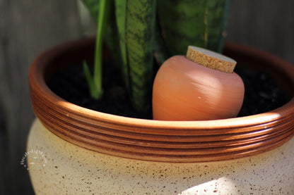 Coral Pink Olla Pepin | Indoor Plant Watering Terracotta Jar alberta, calgary, canada, carafe, ceramic, clay, jar, olla, oyas, pink, plant, potted, potted plants, terracotta, water, watering metaphysical occult supplies witchy hecateslight.com witchcraft cottagecore witch gifts