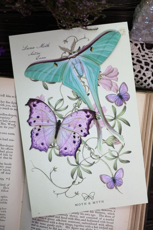 Hyacinth Butterfly and Moth Set Moth & Myth art, art display, butterflies, butterfly, butterfy, canada, cottage witch gift, decor, decoration, decorative, decorative butterflies, gift, lavendar, moth, moth and myth, moth set, paper butterflies, purple, replica, stationary gift, turquoise, witchy gift metaphysical occult supplies witchy hecateslight.com witchcraft cottagecore witch gifts