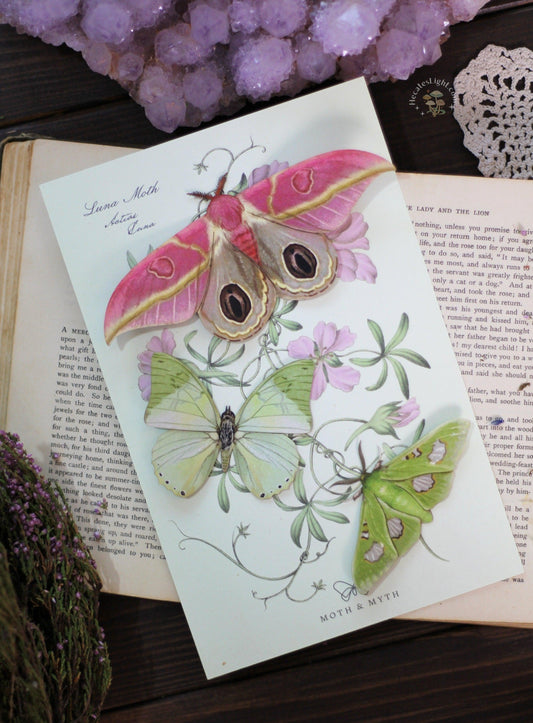 Limelight Moth Set Moth & Myth butterflies, butterfly, butterfy, cottage witch gift, decorative butterflies, green, lime, moth, moth and myth, moth set, paper butterflies, pink, replica, witchy gift metaphysical occult supplies witchy hecateslight.com witchcraft cottagecore witch gifts
