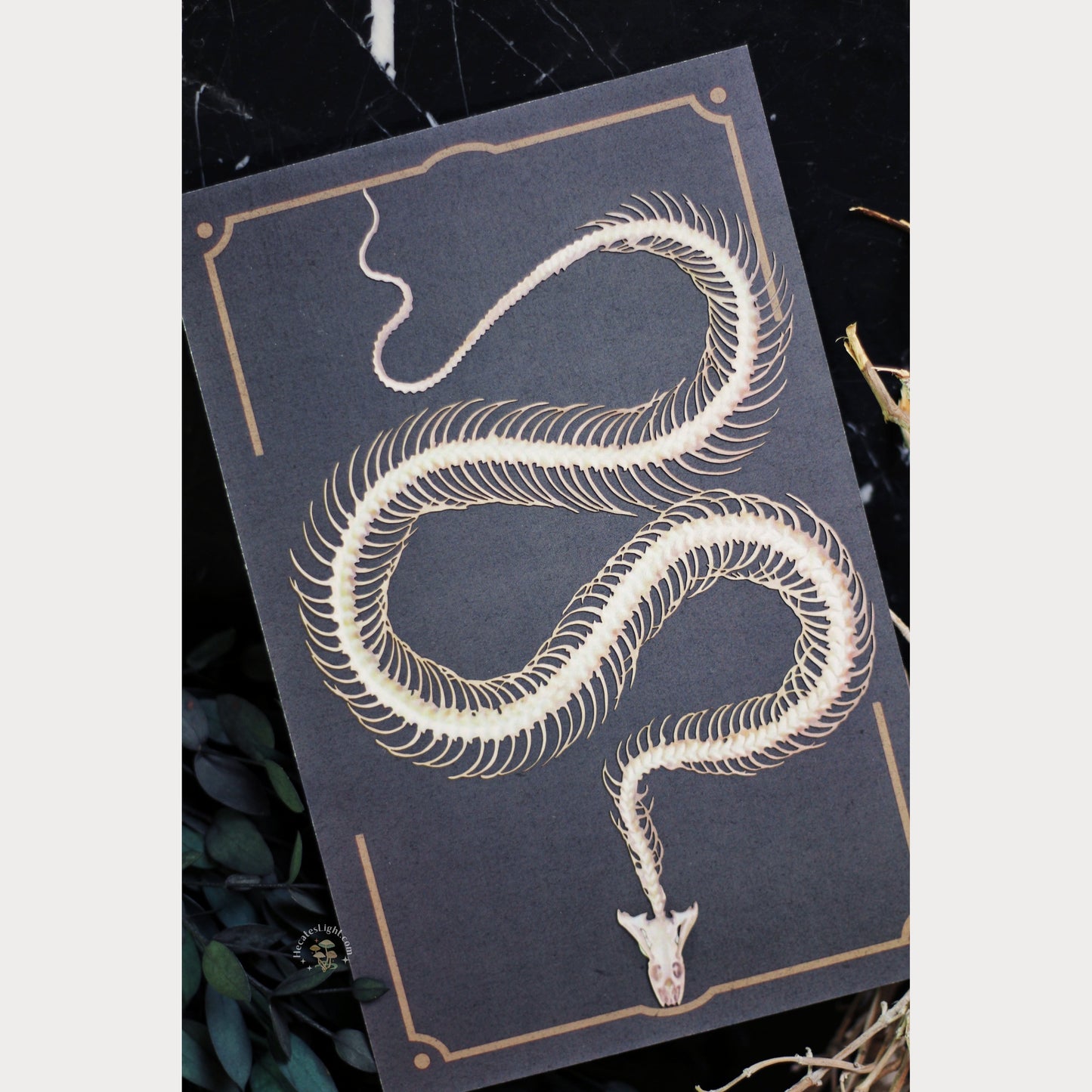 Temptress Snake Skeleton Moth & Myth art, art display, decor, decoration, decorative, moth, moth and myth, paper, replica, serpent, snake, temptress metaphysical occult supplies witchy hecateslight.com witchcraft cottagecore witch gifts