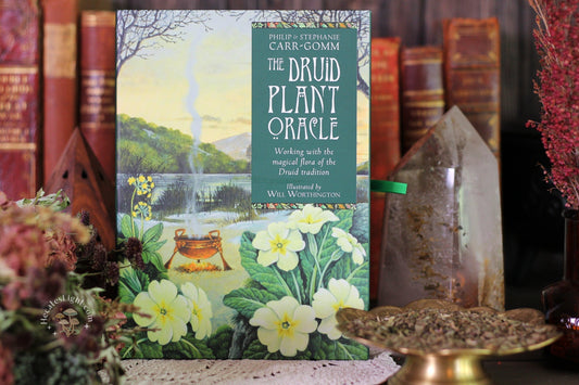 The Druid Plant Oracle Hecate's Light canada card, cards, celtic, divination, druid, oracle, oracle deck, plant The Druid Plant Oracle Hecate's Light canada card, cards, celtic, divination, druid, oracle, oracle deck, plant metaphysical occult supplies witchy hecateslight.com witchcraft cottagecore witch gifts metaphysical occult supplies witchy hecateslight.com witchcraft cottagecore witch gifts