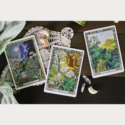 The Druid Plant Oracle Hecate's Light canada card, cards, celtic, divination, druid, oracle, oracle deck, plant The Druid Plant Oracle Hecate's Light canada card, cards, celtic, divination, druid, oracle, oracle deck, plant metaphysical occult supplies witchy hecateslight.com witchcraft cottagecore witch gifts metaphysical occult supplies witchy hecateslight.com witchcraft cottagecore witch gifts